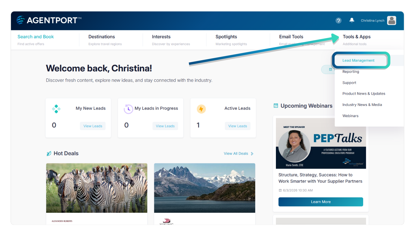 Leads area in AgentPort